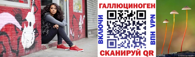 Псилоцибиновые грибы Magic Shrooms  МЕГА ссылки  Сальск  где купить наркоту 