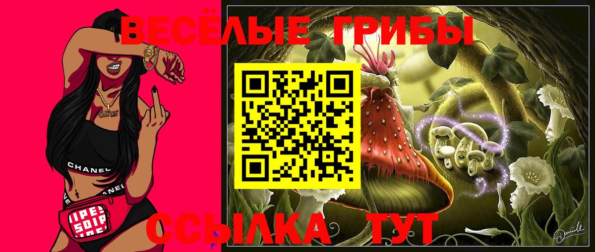 Галлюциногенные грибы MAGIC MUSHROOMS Сальск